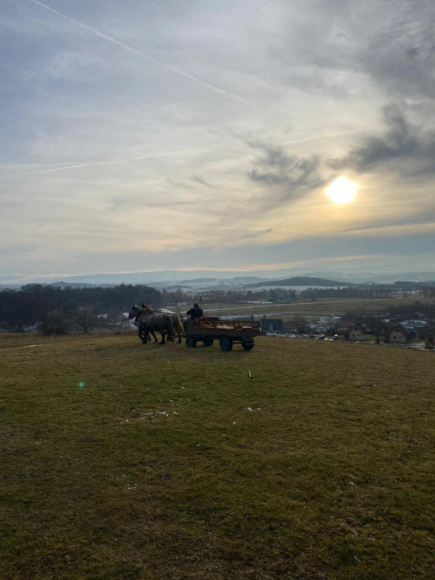 Domki Osada Bozkow W Kotlinie Klodzkiej Bagian luar foto